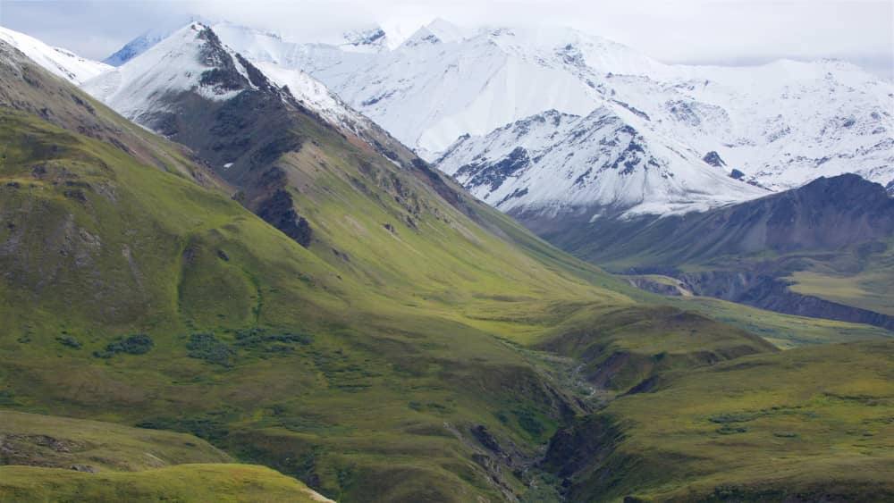 denali national park