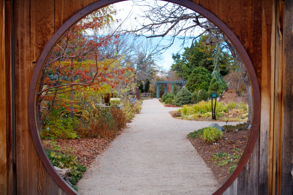 denver botanical gardens