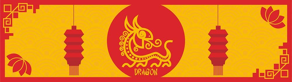 dragon feng shui guide