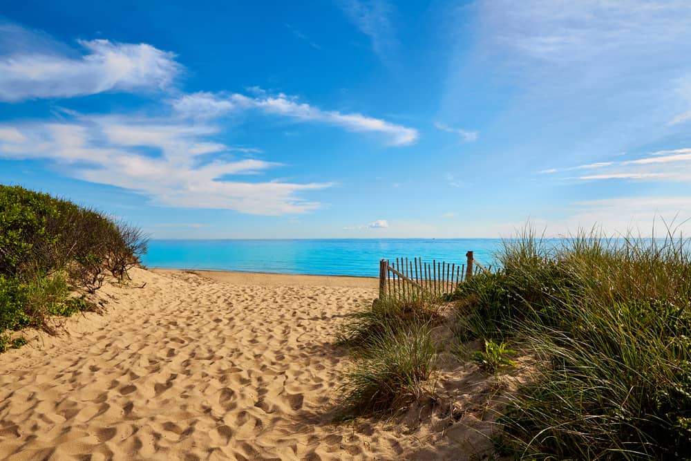 The golden sand and bright blue sea and sky at Herring Cove Beach, a scenic spot during Provincetown Carnival.