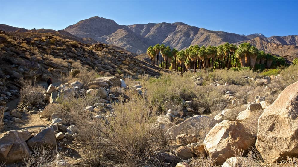 explore the historic indian canyons palm springs