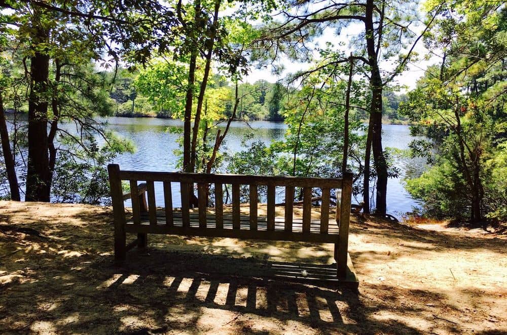 First Landing State Park in Virginia beach