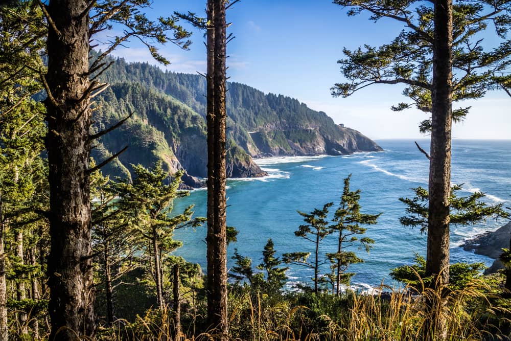 view from heceta head lighthouse on the oregon coast is one of the most beautiful places to propose