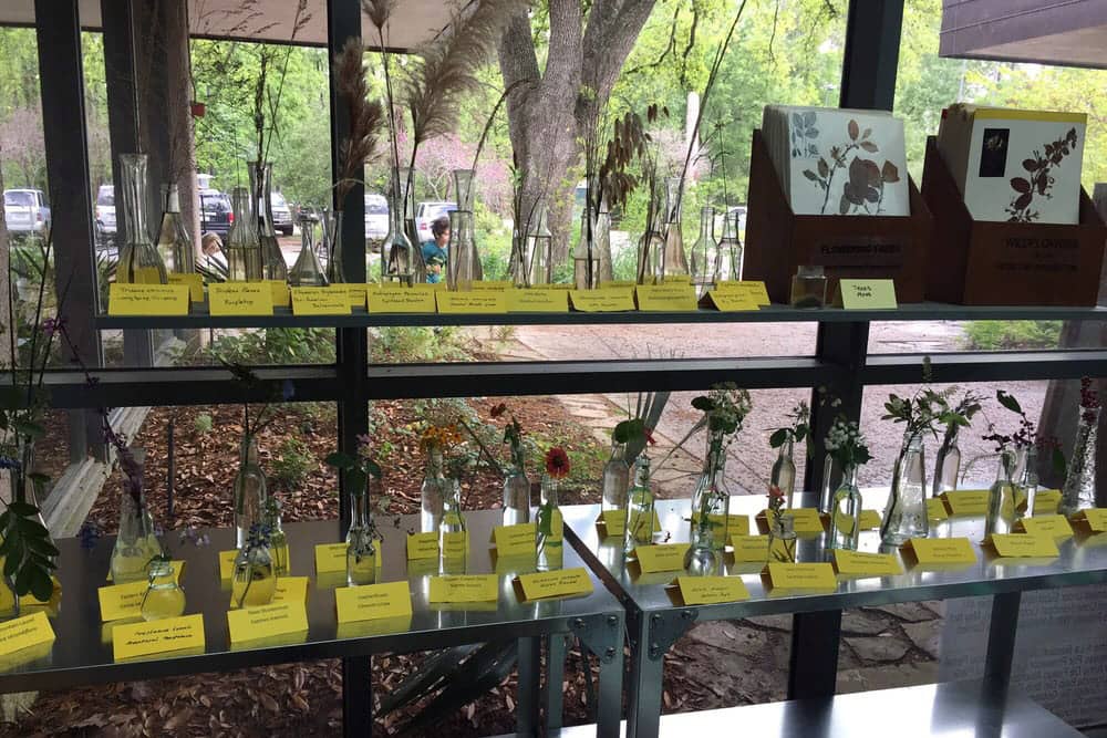 Row of flowers in glass jars at Arboretum and Nature Center, one of the top free things to do with kids in Houston.