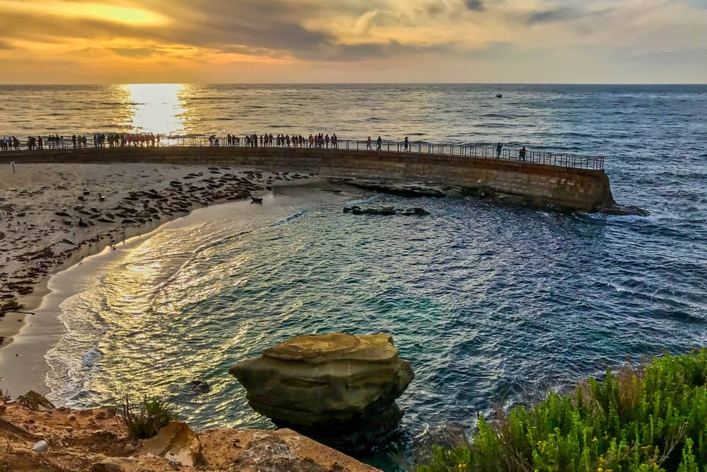 Overlooking the ocean and shoreline at the Children Pool in La Jolla, a great free attraction for kids in San Diego.