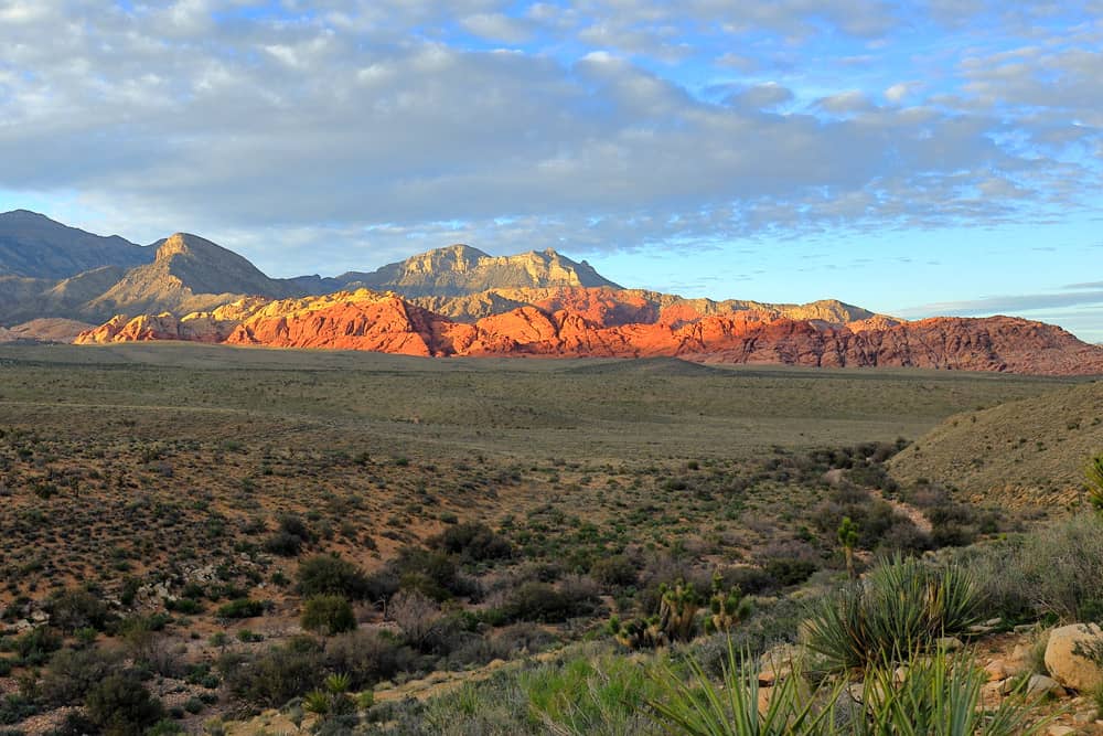 The red desert landscape of Calico Basin Red Springs, one of the top free things to do with kids in Las Vegas.