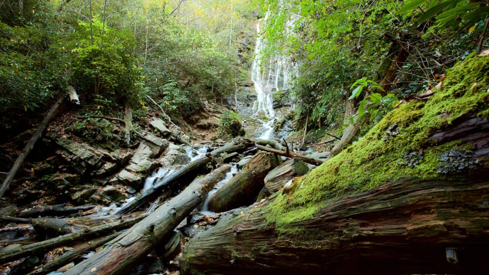 creeks and rivers in great smokey mountains