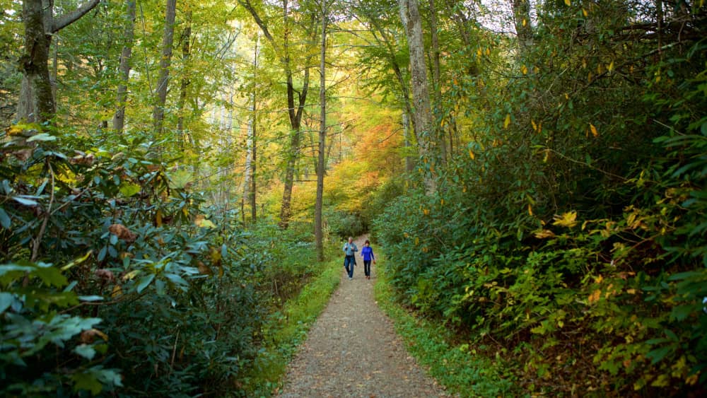 gatlinburg trails