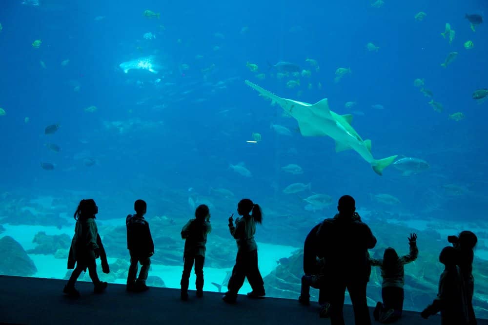 georgia aquarium atlanta