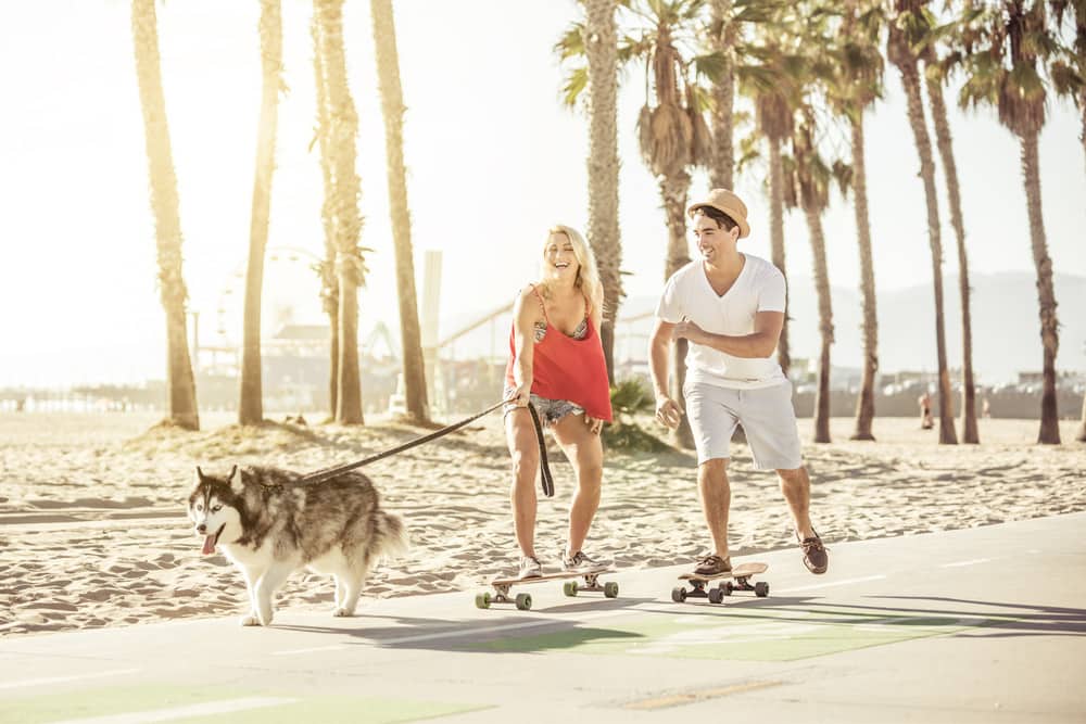 A woman and a man skateboarding and walking their dog in shorts and t-shirts near the sand in Los Angeles.