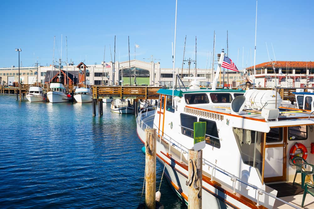 Stay in Fisherman's Wharf during San Francisco Street Food Festival. Several white boats docked in Fisherman's Wharf in San Francisco—a great place to stay during SF Street Food Festival.