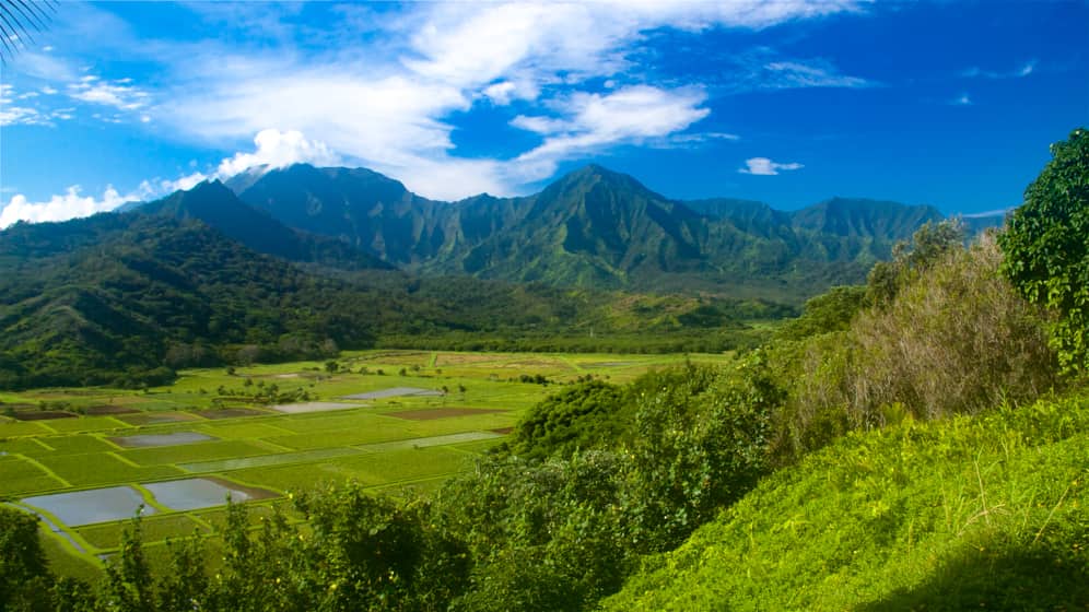 Hanalei Valley Lookout - Kauai, Hawaii