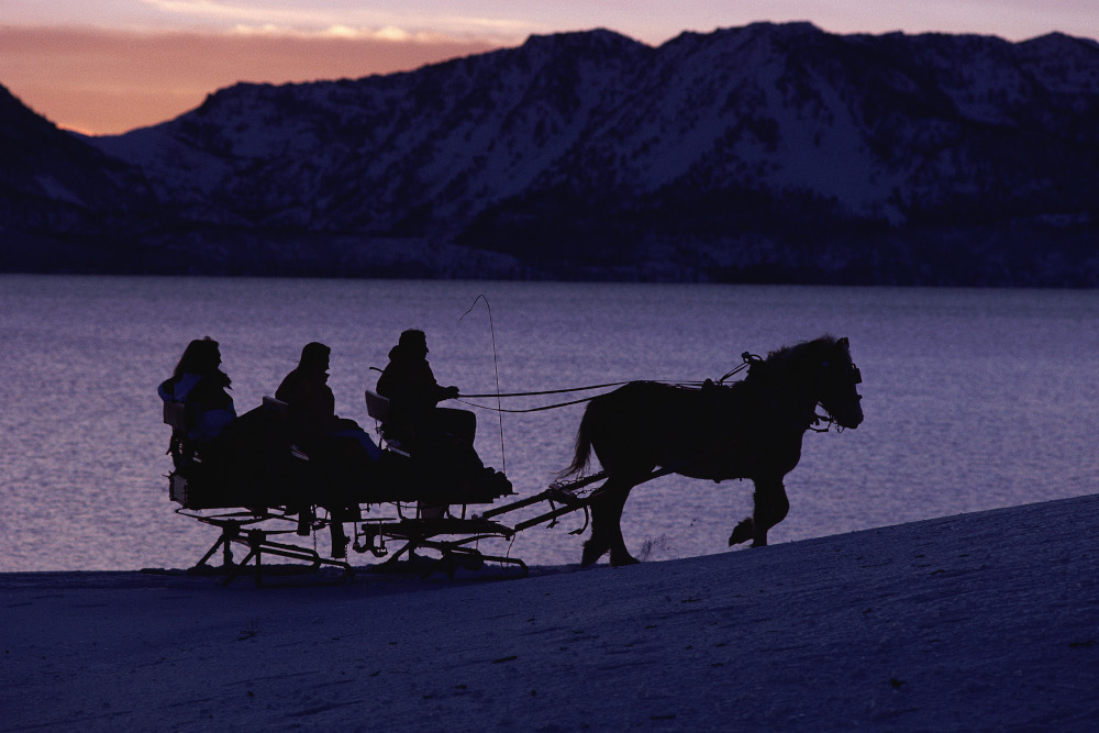 horse drawn sleigh in alberta