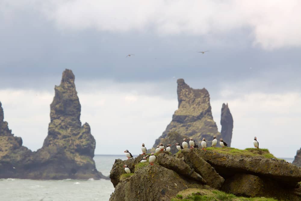 icelandic seascapes solo travel destinations