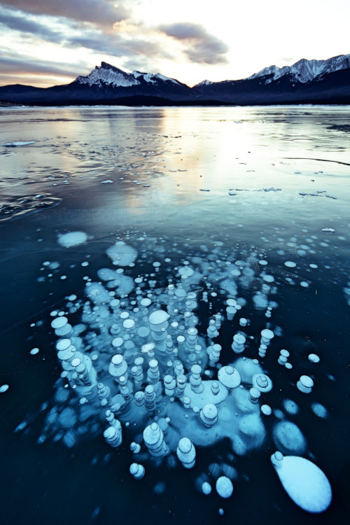 lake abraham things to do in winter prairies