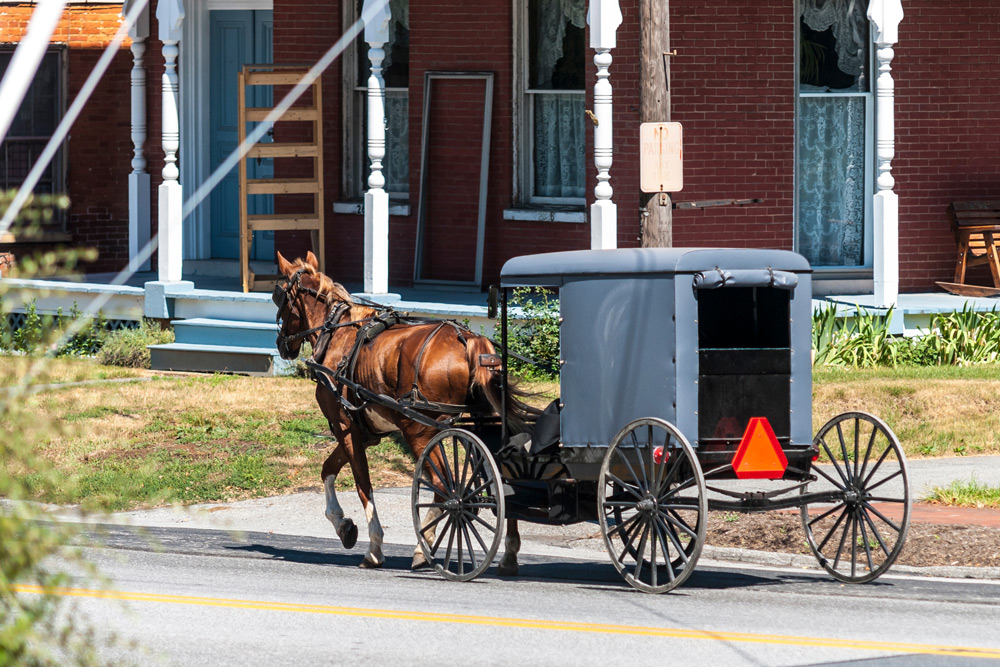 Horse pulling Pennsylvania Dutch buggy through Lancaster on a sunny day 