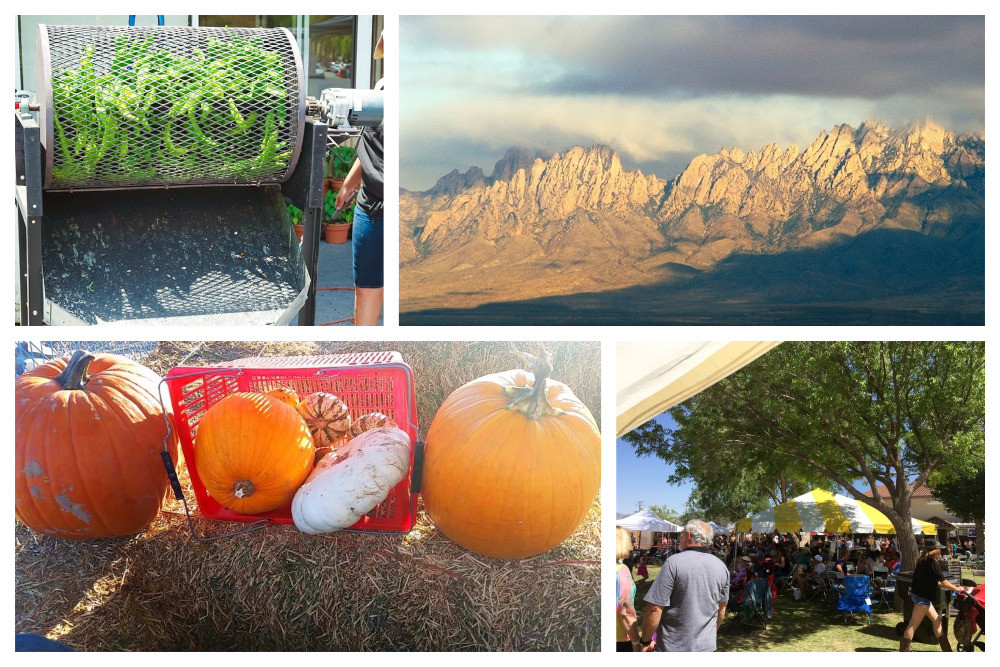 Pumpkin patches, hatch chili festivals, and wine festivals in Las Cruces that cause FOMO.