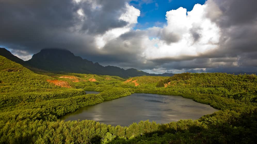 Lihue - Kauai, Hawaii, USA