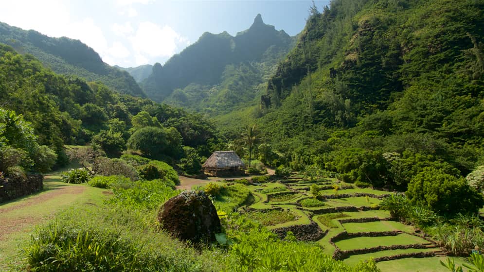 Limahuli Gardens and Reserve - Kauai, Hawaii