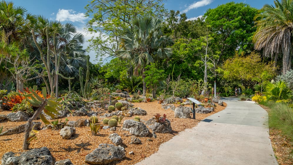 Marie Selby Botanical Gardens - Sarasota, Florida, USA