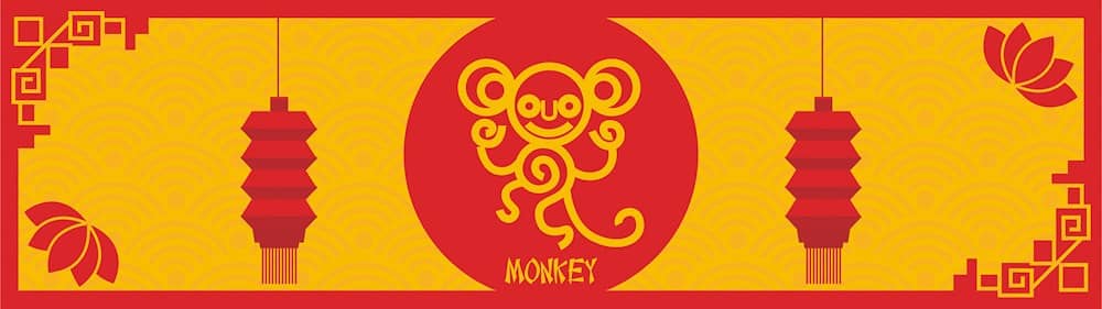 monkey feng shui travel