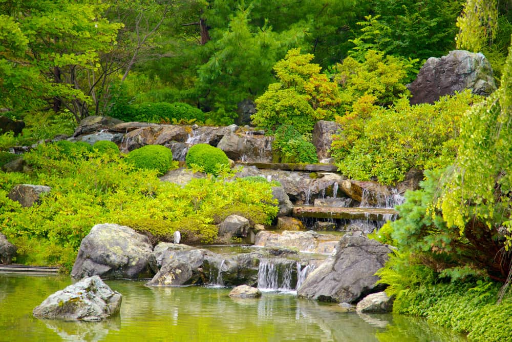 montreal botanical garden