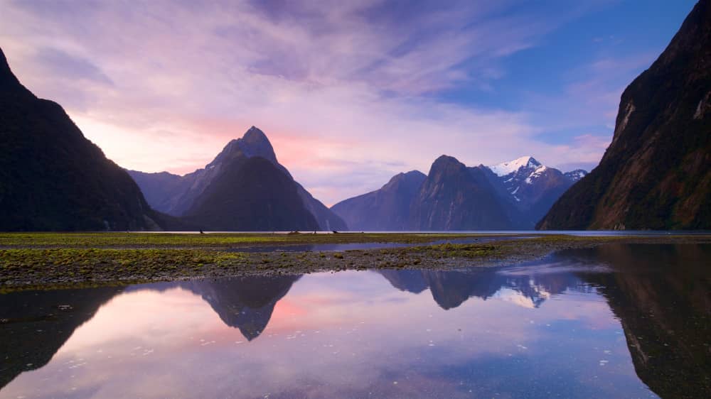 new zealand landscapes