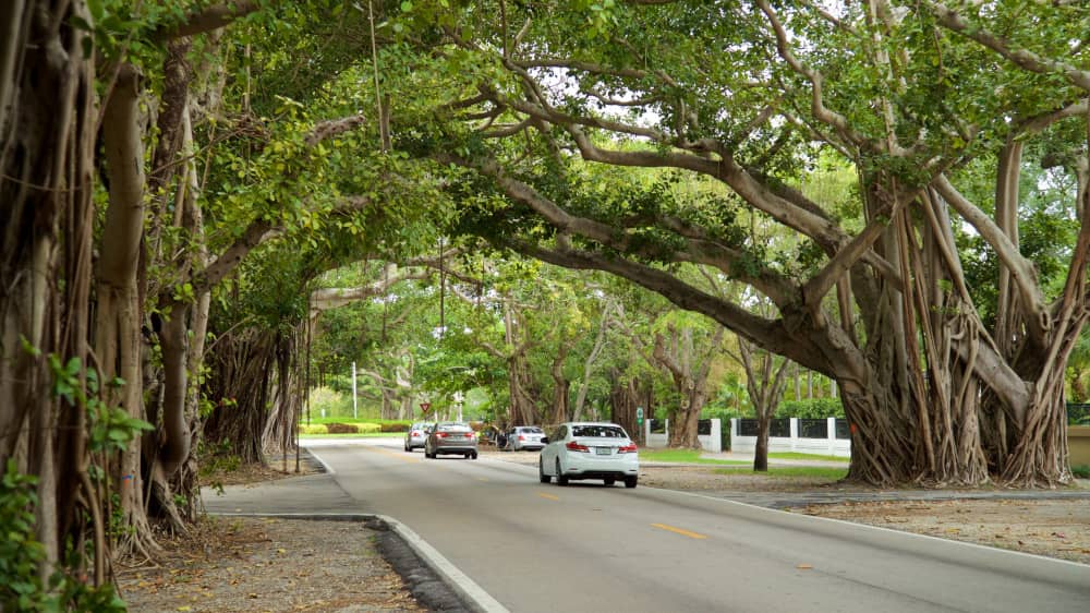 old cutler trail