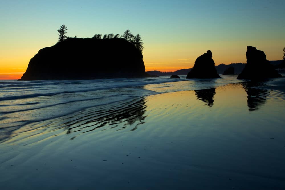 olympic national park washington