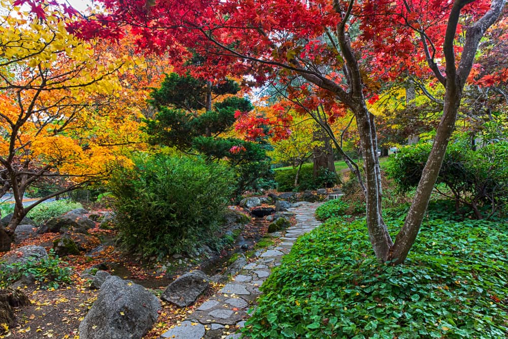 Autumn trees turned to red, yellow, and green along a stone path in Lithia Park, a great place to visit during Oregon Shakespeare Festival