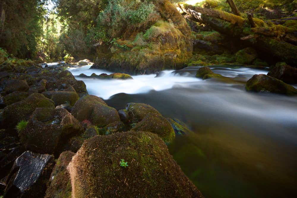 western oregon oregon trail