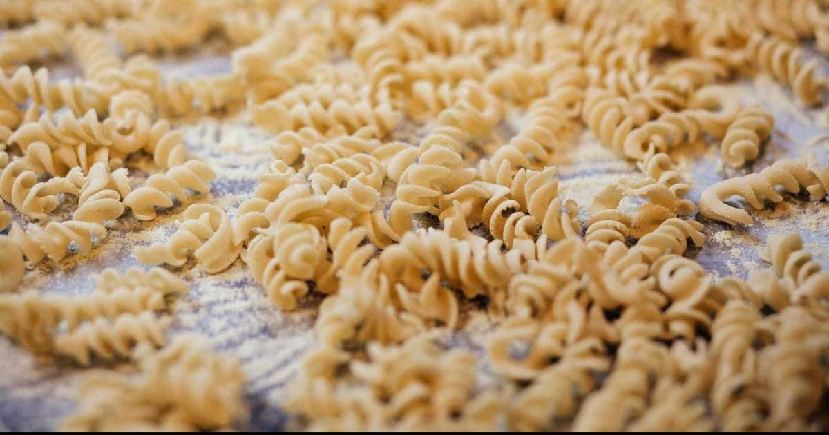 Corkscrew paste dusted with flour and parmesan cheese at the popular cheap eatery in Seattle, Washington, Pasta Casalinga.