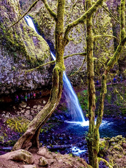 Ponytail Falls, a place to hike near Portland, Oregon