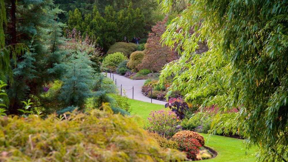 queen elizabeth park vancouver