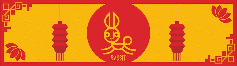 rabbit feng shui travel