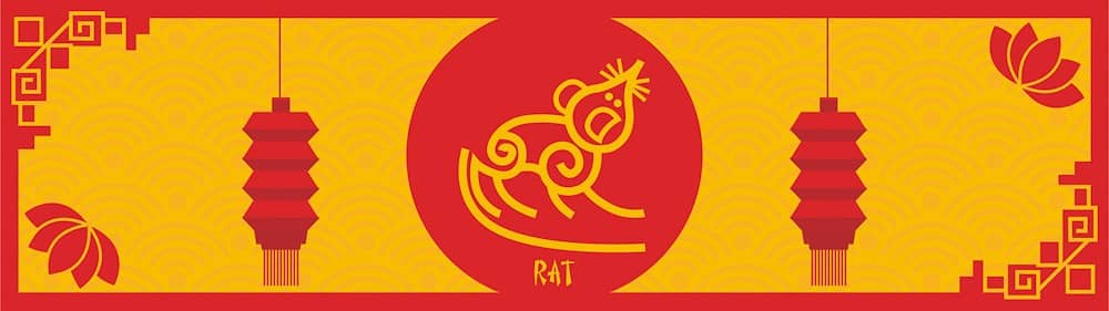 rat feng shui travel