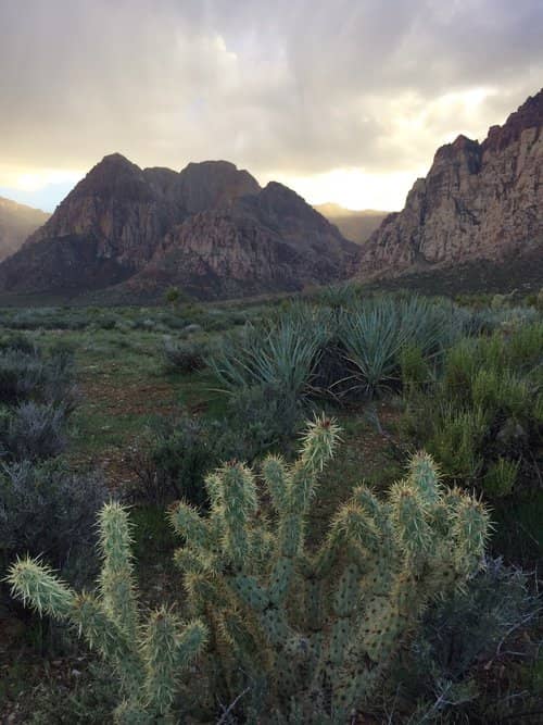 red rock canyon las vegas