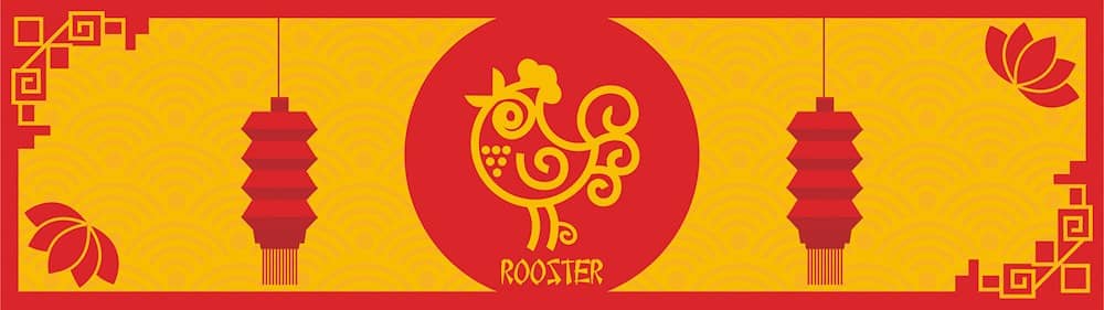 rooster feng shui guide