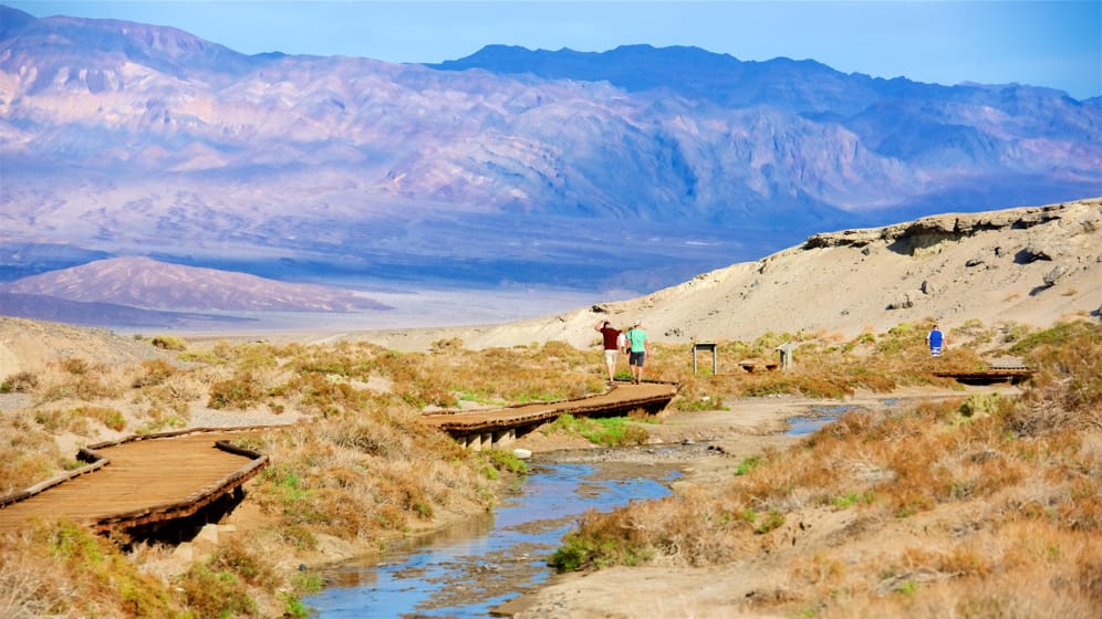 Salt Creek Trail - Death Valley