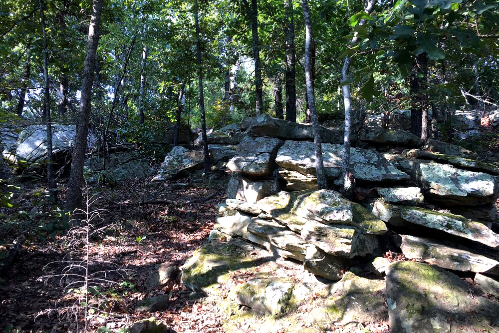 sun shining through trees in the woods at sand springs oklahoma