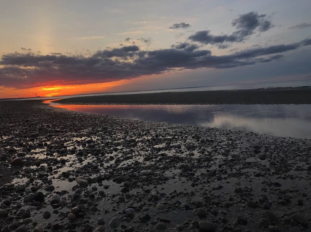 Sandy Neck Beach: One of the best beaches in Cape Cod