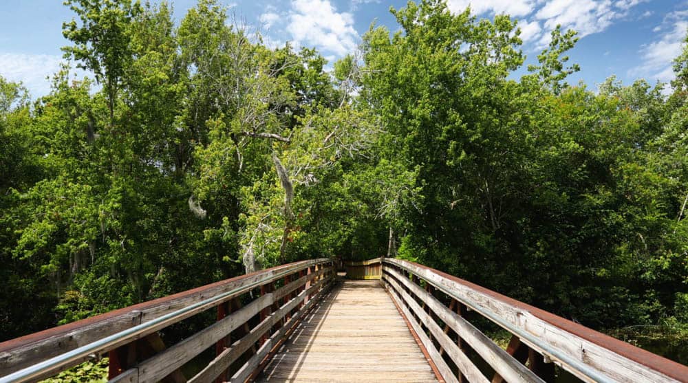 Sawgrass Lake Park