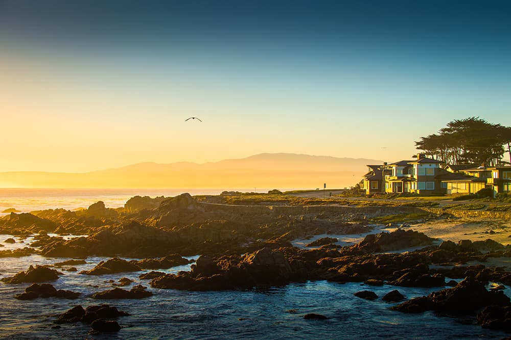 Monterey pine and modern house overlooking hazy gold and blue sunset over the rocky ocean shore