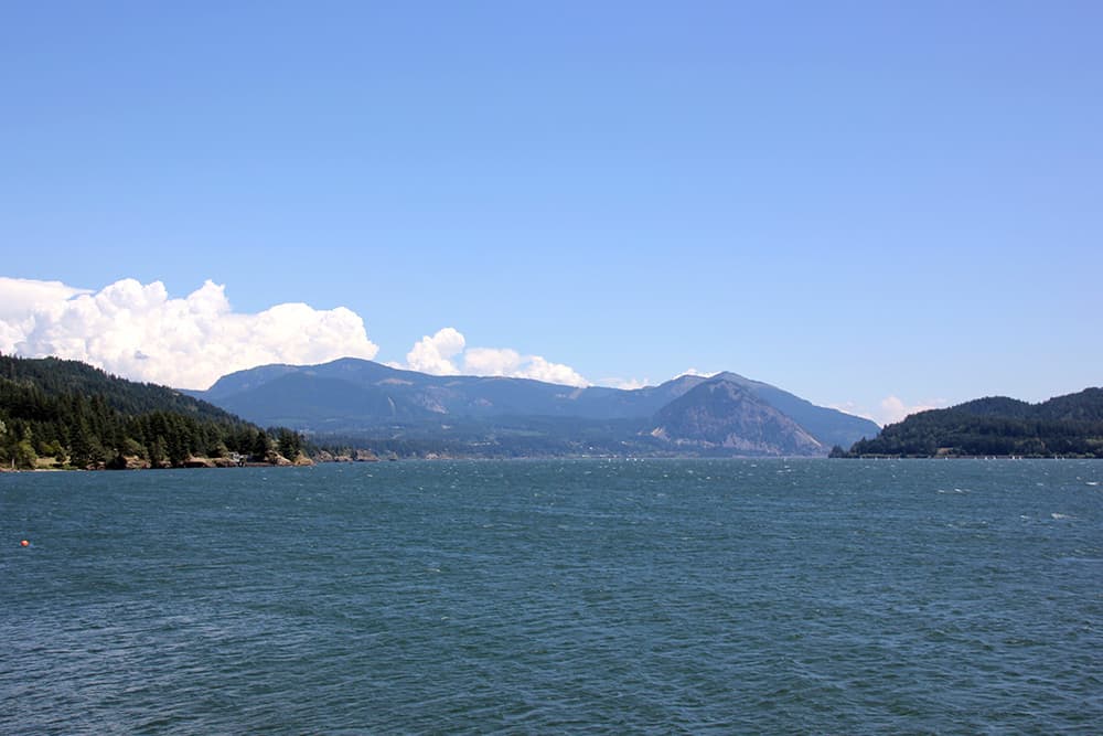 Choppy bay waters with tree-covered mountain backdrop in southern Washington