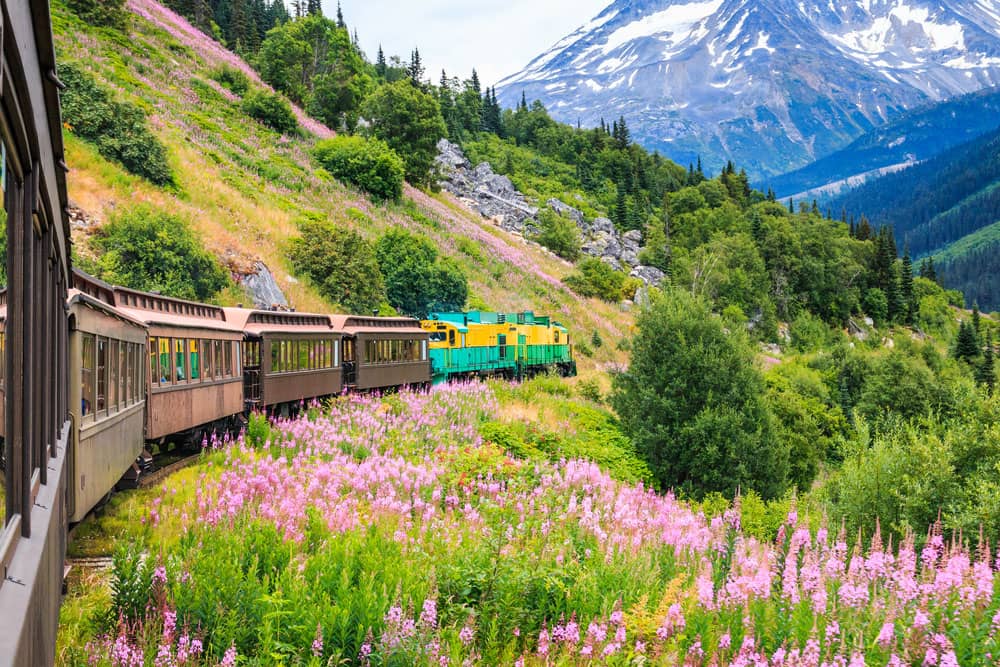 scenic railway winding through flower-covered mountain in skagway alaska