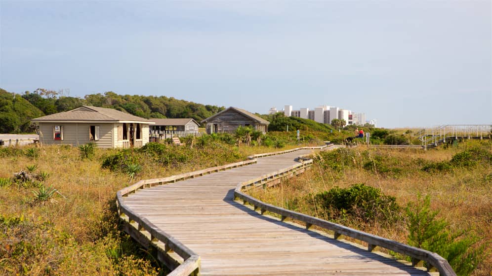 South Myrtle Beach State Park, Myrtle Beach, South Carolina, USA