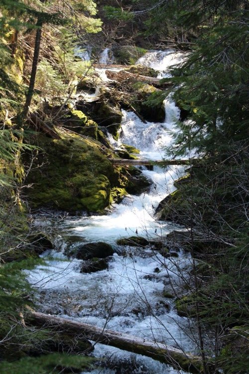 Tamanawas Falls, a great hike near Portland, Oregon