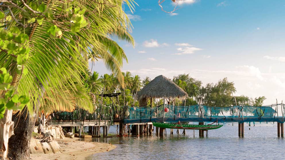 The Farm at the Bora Bora Pearl Company