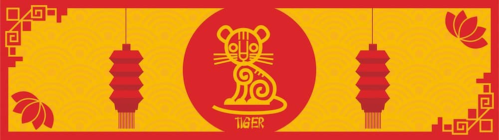 tiger feng shui travel