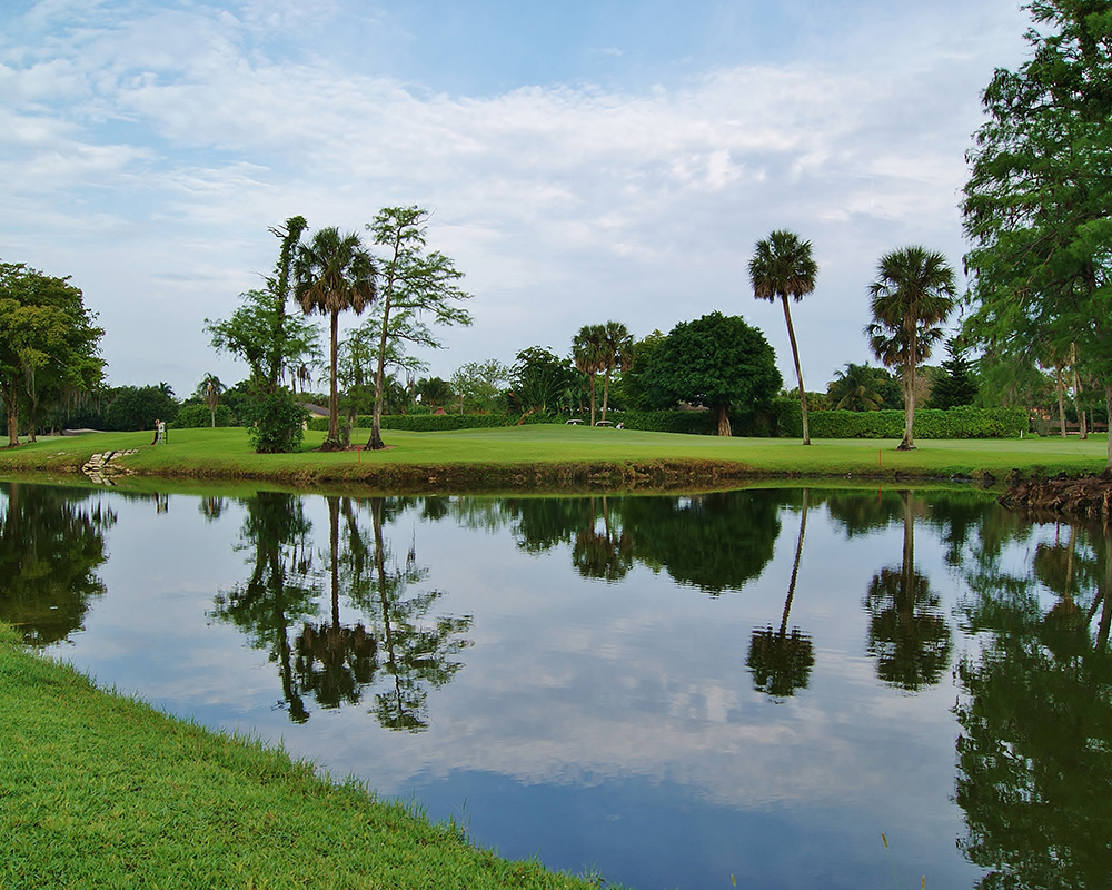 A lake on a golf course in Florida